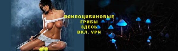 PSILOCYBIN Алексин