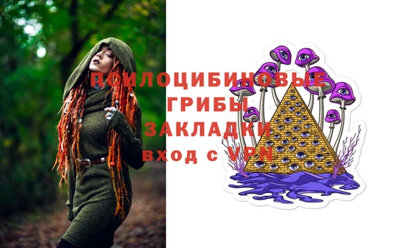 PSILOCYBIN Алексин