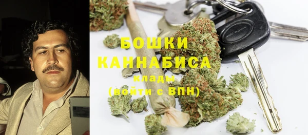 PSILOCYBIN Алексин