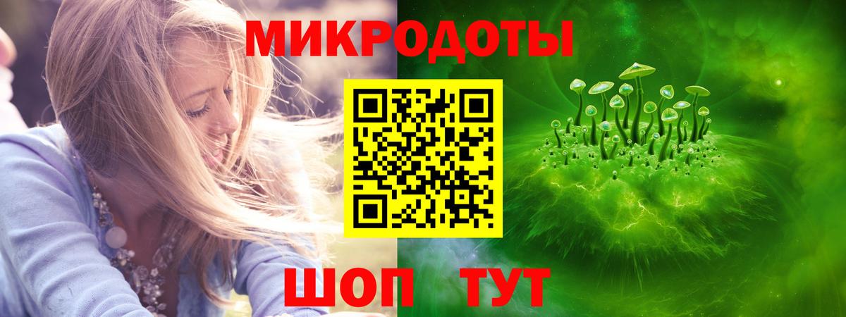 Псилоцибиновые грибы Psilocybe Севастополь
